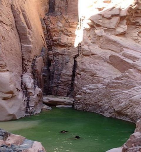 Diving in the Red Sea: Nuweiba’s Underwater Paradise