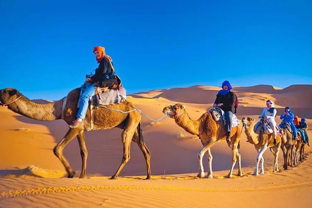 Taba’s Desert Adventures: Safari, Camel Rides, and Stargazing