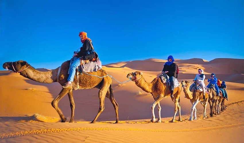 Taba’s Desert Adventures: Safari, Camel Rides, and Stargazing