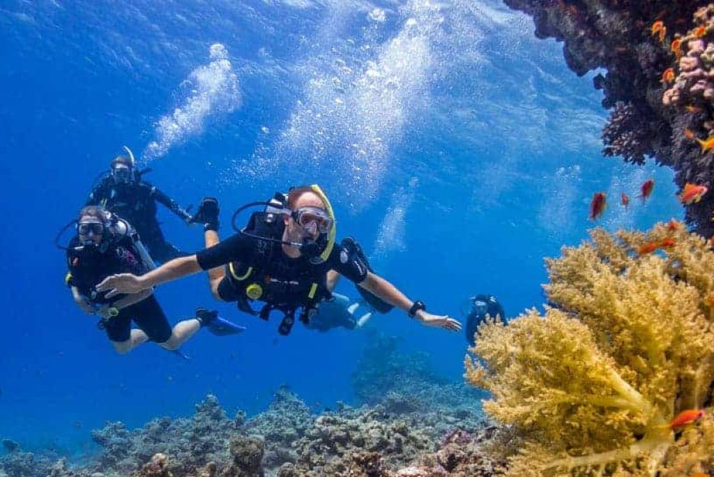 Diving in the Red Sea: Nuweiba’s Underwater Paradise