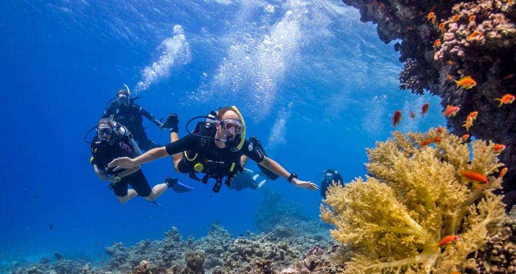 Diving in the Red Sea: Nuweiba’s Underwater Paradise