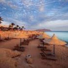 Taba’s Desert Adventures: Safari, Camel Rides, and Stargazing