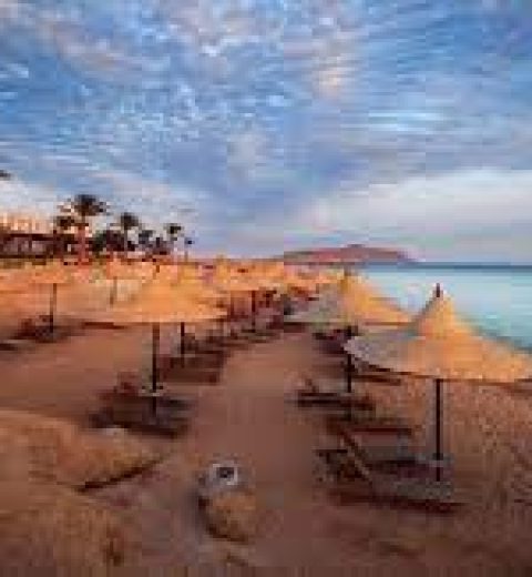 Adventurous Escapes: Desert Safaris and Quad Biking in Sharm El Sheikh