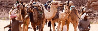 Cultural Encounters: Bedouin Tribes of Nuweiba