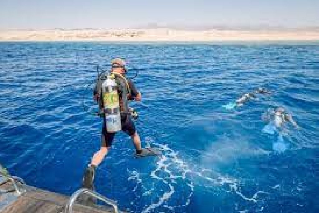 A Diver’s Paradise: Exploring the Diving Spots of Sharm El Sheikh