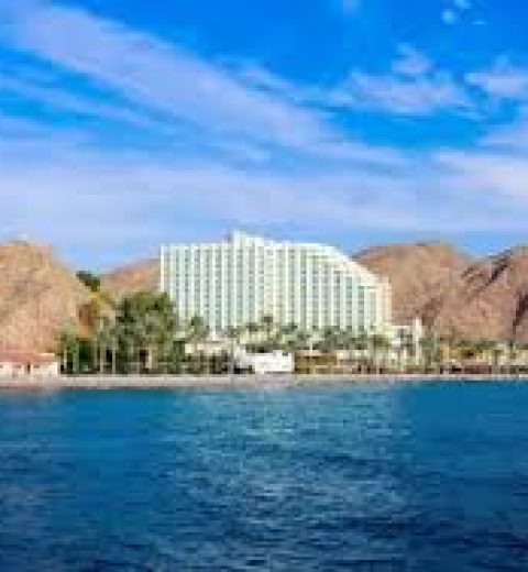  Diving in Taba: Exploring the Red Sea’s Hidden Treasures